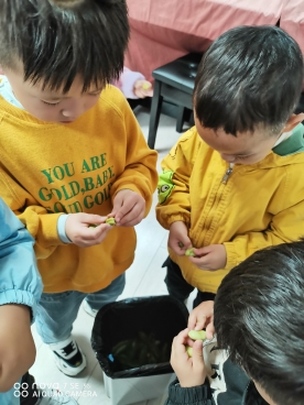 QQ图片20210429220046