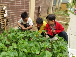 QQ图片20210522143900